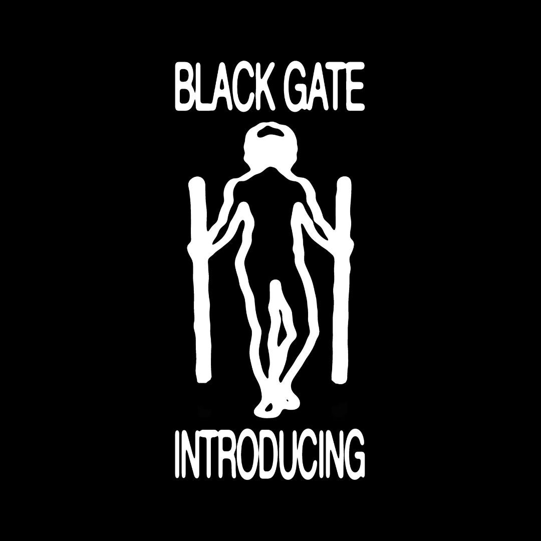 Black Gate Introducing - 101.3