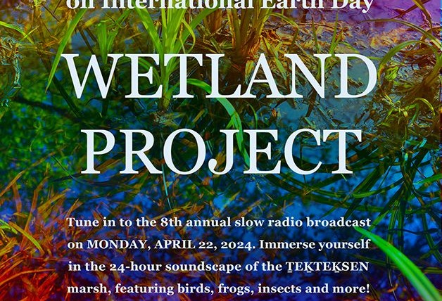 Life-Affirming Radio! Tune in to the 8th annual, 24-hour Wetland Project slow radio broadcast on Monday, April 22, 2024 (Background is a rainbow filtered photo of marsh plants)