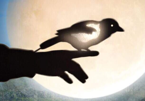 Why the moons travels
