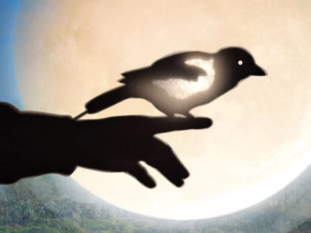 Why the moons travels